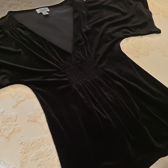 Velvet Ann Taylor LOFT Top - Picture 2 of 7